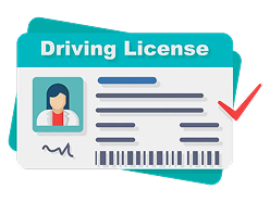 vehicle rc check API